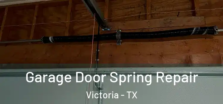  Garage Door Spring Repair Victoria - TX