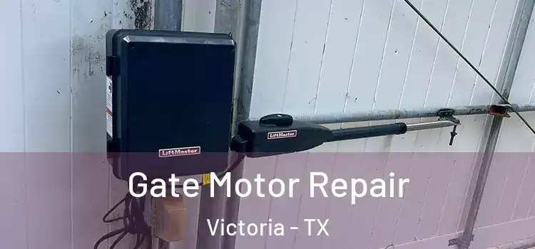 Gate Motor Repair Victoria - TX